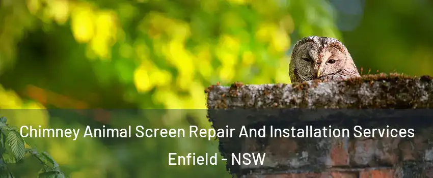 Chimney Animal Screen Repair And Installation Services Enfield - NSW
