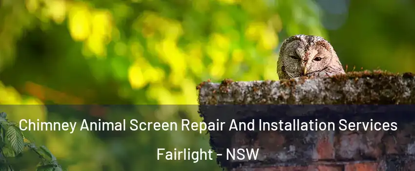 Chimney Animal Screen Repair And Installation Services Fairlight - NSW