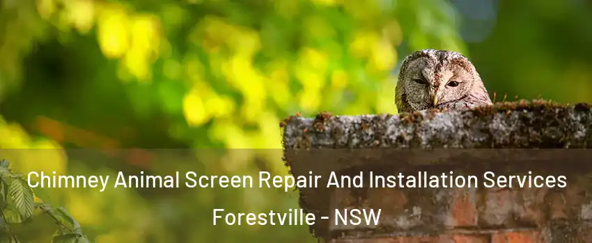 Chimney Animal Screen Repair And Installation Services Forestville - NSW