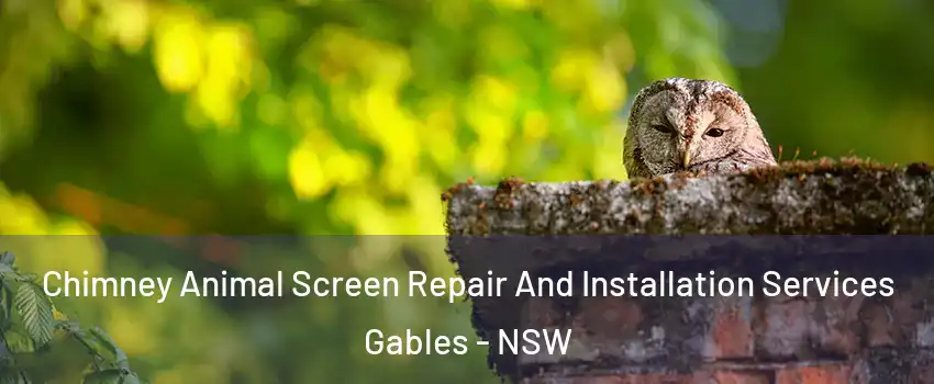 Chimney Animal Screen Repair And Installation Services Gables - NSW