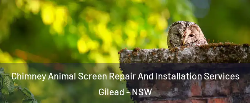 Chimney Animal Screen Repair And Installation Services Gilead - NSW
