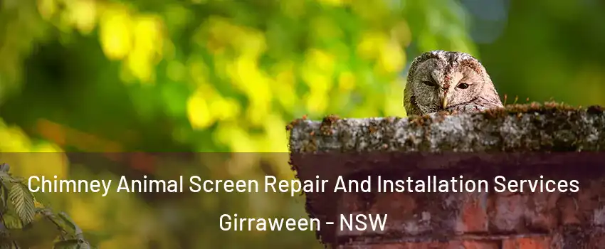 Chimney Animal Screen Repair And Installation Services Girraween - NSW