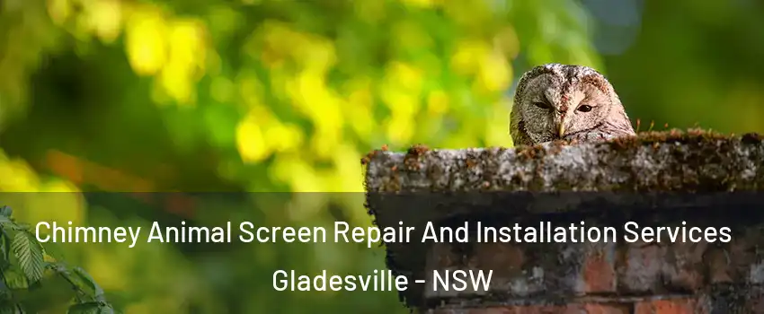 Chimney Animal Screen Repair And Installation Services Gladesville - NSW