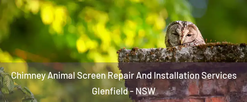 Chimney Animal Screen Repair And Installation Services Glenfield - NSW