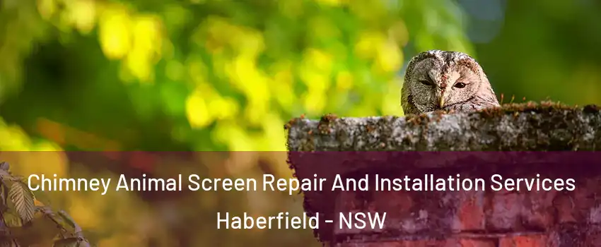 Chimney Animal Screen Repair And Installation Services Haberfield - NSW