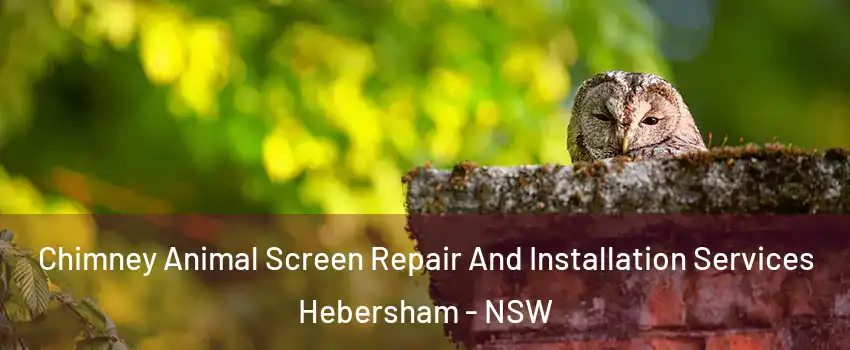 Chimney Animal Screen Repair And Installation Services Hebersham - NSW