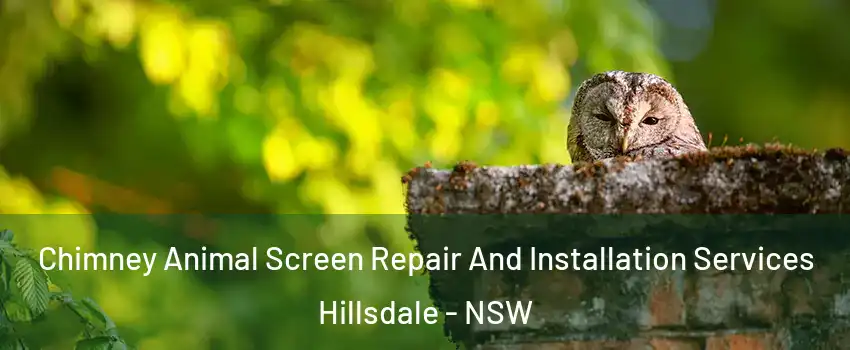 Chimney Animal Screen Repair And Installation Services Hillsdale - NSW