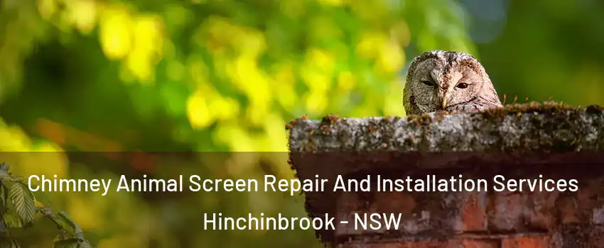 Chimney Animal Screen Repair And Installation Services Hinchinbrook - NSW