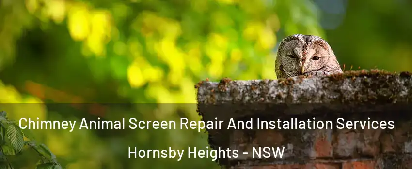 Chimney Animal Screen Repair And Installation Services Hornsby Heights - NSW