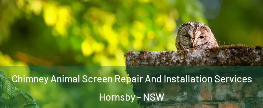Chimney Animal Screen Repair And Installation Services Hornsby - NSW