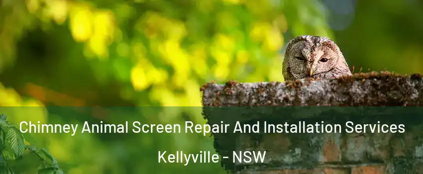 Chimney Animal Screen Repair And Installation Services Kellyville - NSW