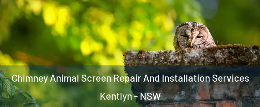 Chimney Animal Screen Repair And Installation Services Kentlyn - NSW