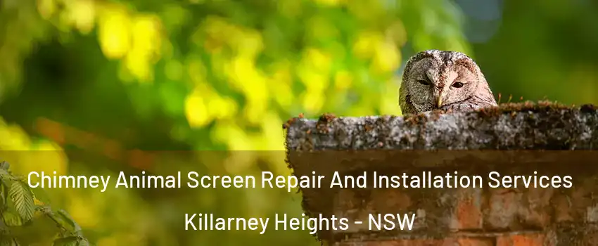 Chimney Animal Screen Repair And Installation Services Killarney Heights - NSW