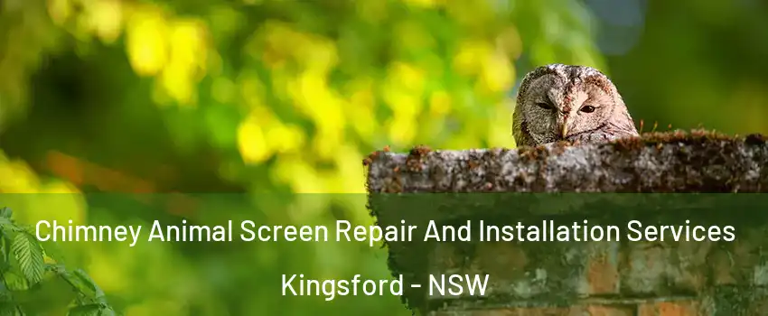 Chimney Animal Screen Repair And Installation Services Kingsford - NSW