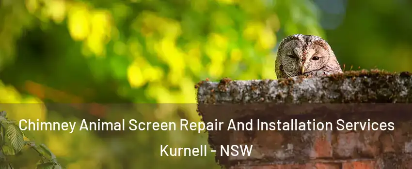 Chimney Animal Screen Repair And Installation Services Kurnell - NSW