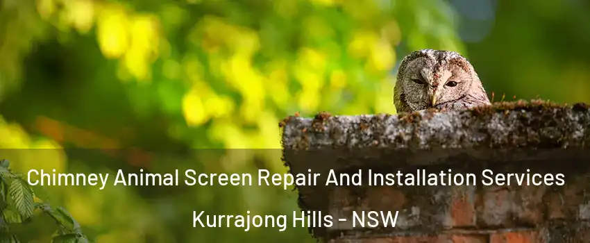 Chimney Animal Screen Repair And Installation Services Kurrajong Hills - NSW