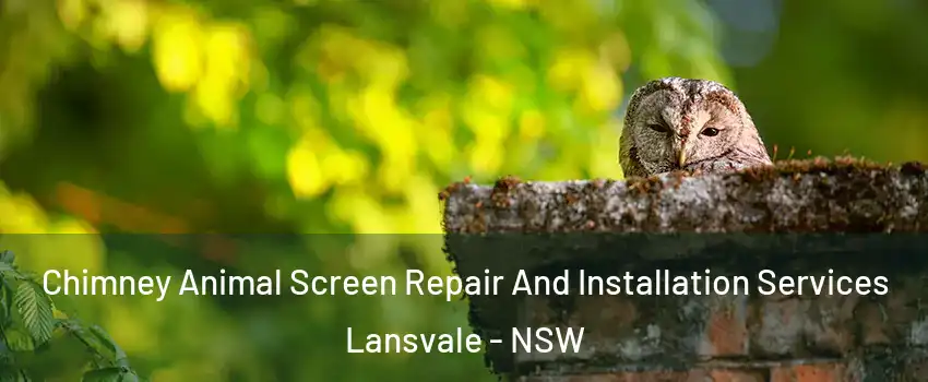 Chimney Animal Screen Repair And Installation Services Lansvale - NSW