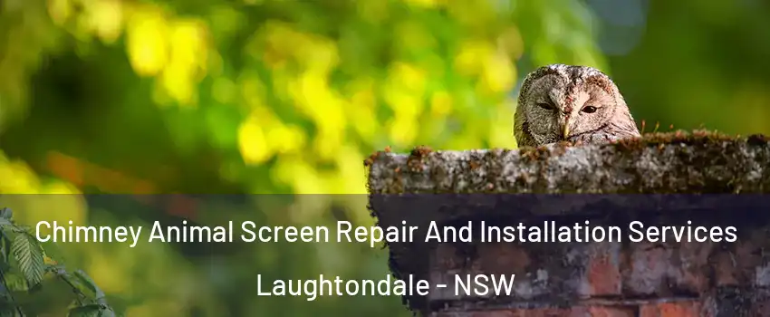 Chimney Animal Screen Repair And Installation Services Laughtondale - NSW