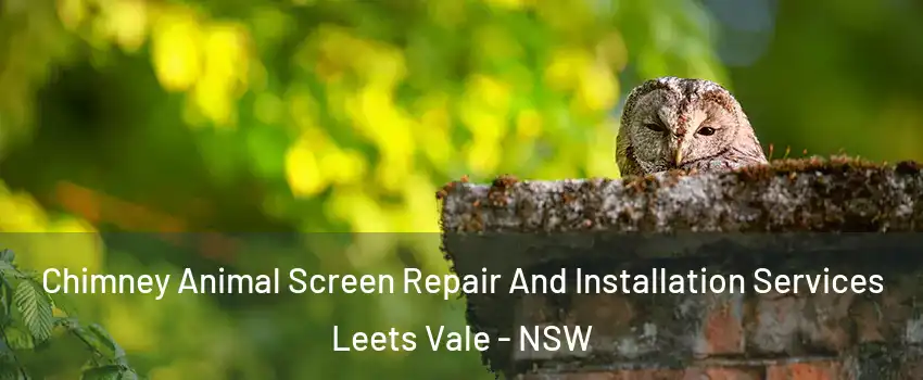 Chimney Animal Screen Repair And Installation Services Leets Vale - NSW