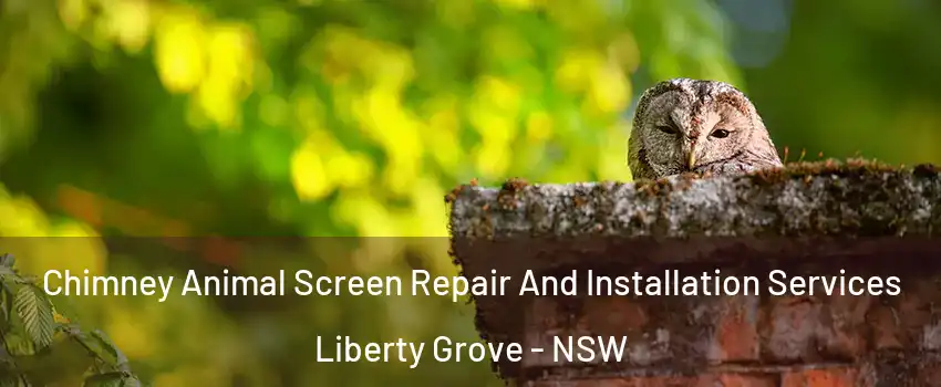 Chimney Animal Screen Repair And Installation Services Liberty Grove - NSW