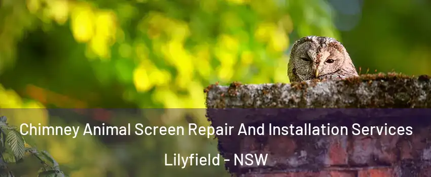 Chimney Animal Screen Repair And Installation Services Lilyfield - NSW