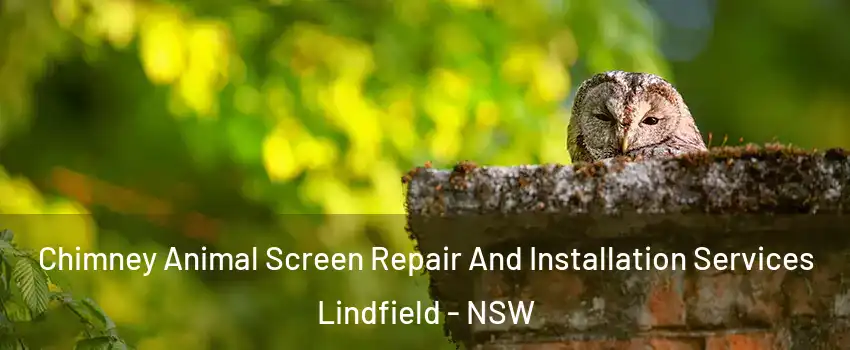 Chimney Animal Screen Repair And Installation Services Lindfield - NSW