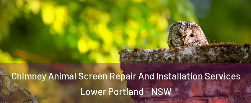Chimney Animal Screen Repair And Installation Services Lower Portland - NSW