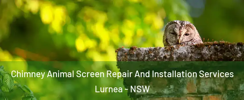 Chimney Animal Screen Repair And Installation Services Lurnea - NSW