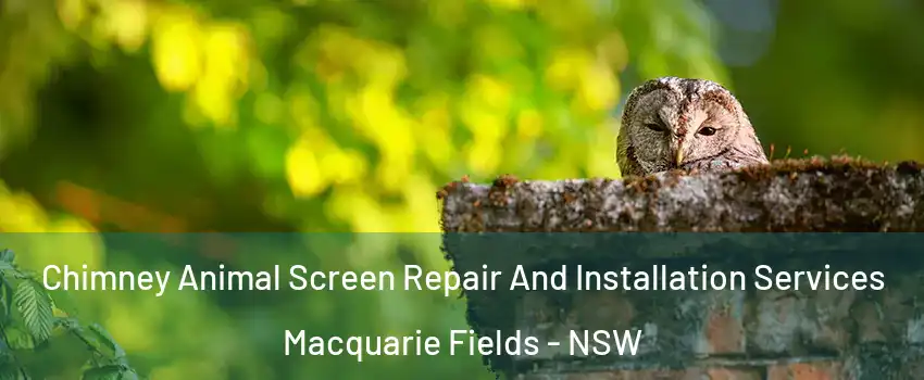 Chimney Animal Screen Repair And Installation Services Macquarie Fields - NSW
