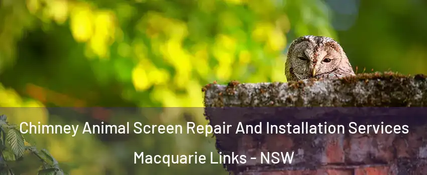 Chimney Animal Screen Repair And Installation Services Macquarie Links - NSW