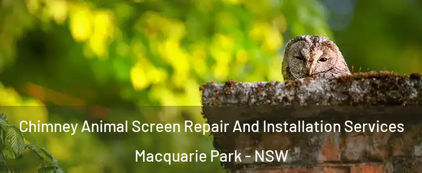 Chimney Animal Screen Repair And Installation Services Macquarie Park - NSW