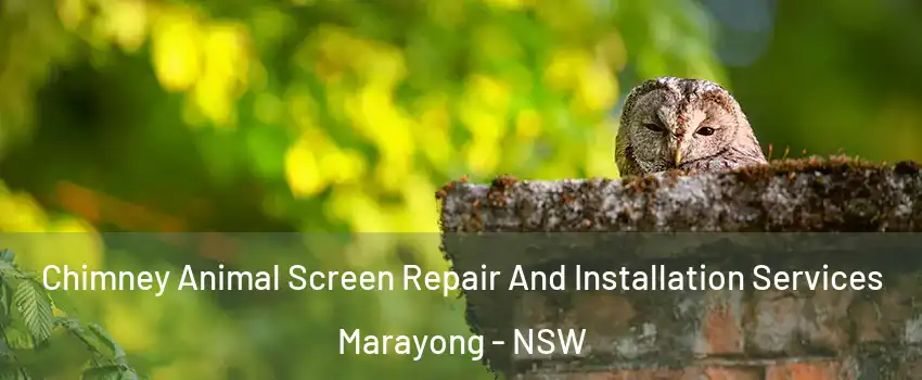 Chimney Animal Screen Repair And Installation Services Marayong - NSW