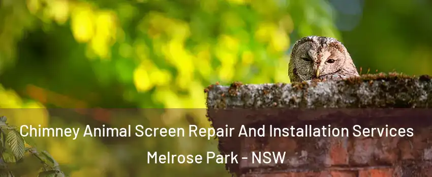 Chimney Animal Screen Repair And Installation Services Melrose Park - NSW