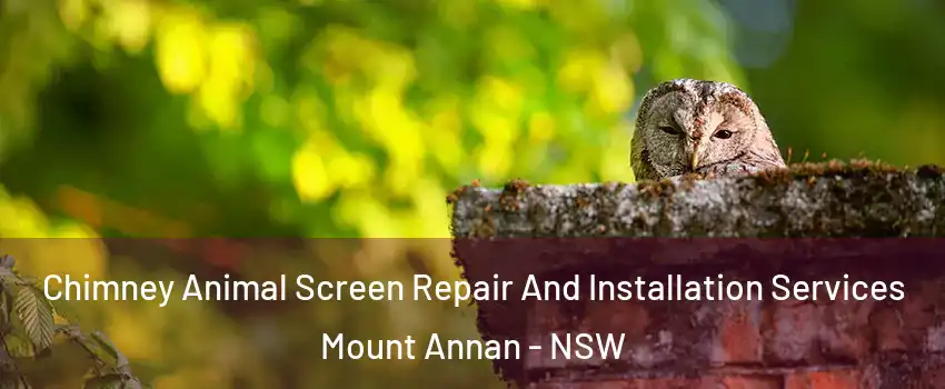 Chimney Animal Screen Repair And Installation Services Mount Annan - NSW