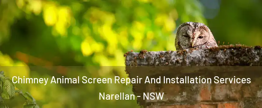 Chimney Animal Screen Repair And Installation Services Narellan - NSW