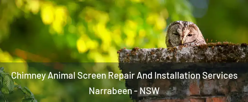 Chimney Animal Screen Repair And Installation Services Narrabeen - NSW