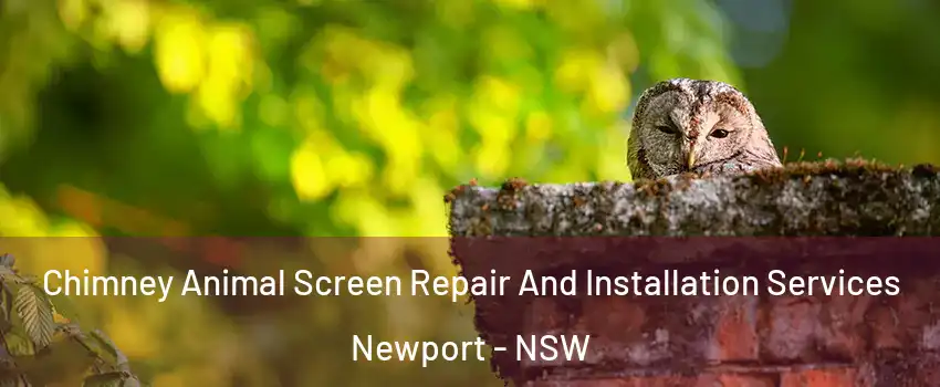 Chimney Animal Screen Repair And Installation Services Newport - NSW