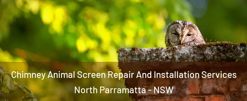 Chimney Animal Screen Repair And Installation Services North Parramatta - NSW