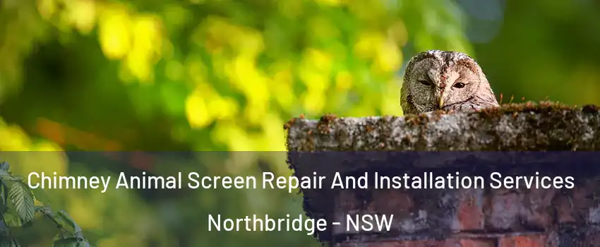 Chimney Animal Screen Repair And Installation Services Northbridge - NSW