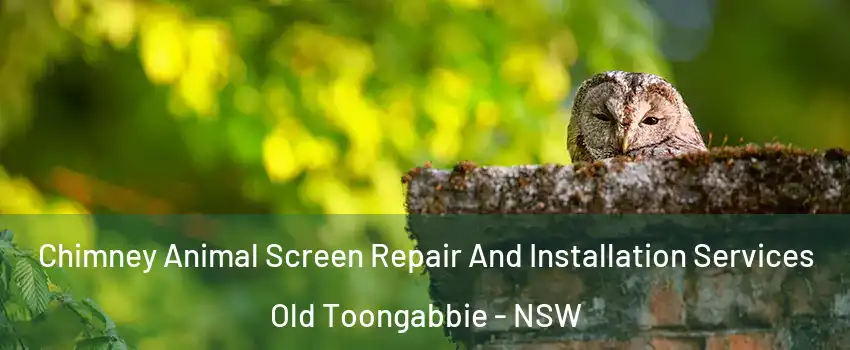 Chimney Animal Screen Repair And Installation Services Old Toongabbie - NSW