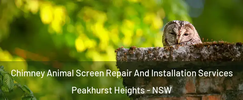 Chimney Animal Screen Repair And Installation Services Peakhurst Heights - NSW