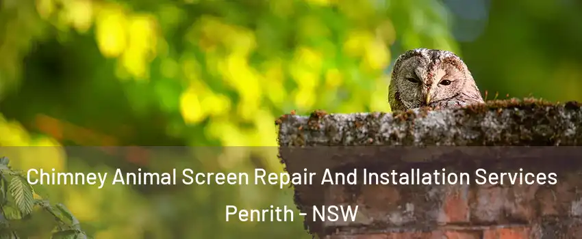 Chimney Animal Screen Repair And Installation Services Penrith - NSW