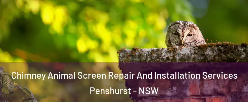 Chimney Animal Screen Repair And Installation Services Penshurst - NSW