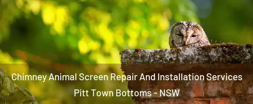 Chimney Animal Screen Repair And Installation Services Pitt Town Bottoms - NSW