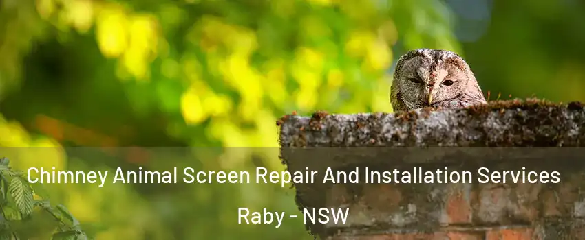 Chimney Animal Screen Repair And Installation Services Raby - NSW
