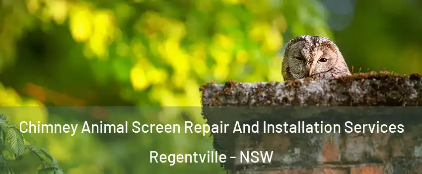 Chimney Animal Screen Repair And Installation Services Regentville - NSW