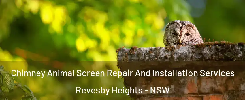 Chimney Animal Screen Repair And Installation Services Revesby Heights - NSW