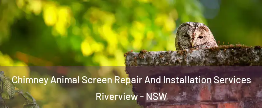 Chimney Animal Screen Repair And Installation Services Riverview - NSW