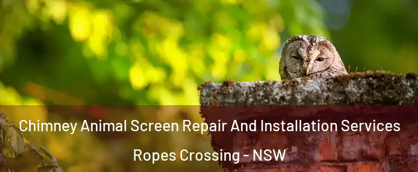 Chimney Animal Screen Repair And Installation Services Ropes Crossing - NSW