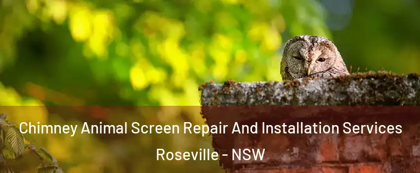 Chimney Animal Screen Repair And Installation Services Roseville - NSW